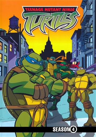 Adventures In Turtlesitting